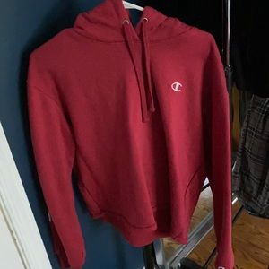 Campion Cropped Hoodie